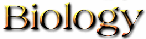 bio